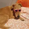 Julie-Anne Rutter - @julieanne.rutter - TikTok