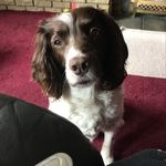 Julie Rutter - @jrutter1961 - Instagram