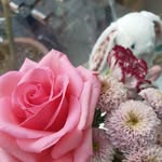 Julie Rutter - @rutterjulie - Instagram