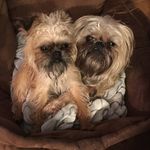 Julie Rutter - @binkyandboo2 - Instagram