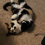 Julie Rutter - @compuwidget - Instagram
