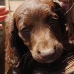 Julie Rutter - @julie_rutter_22_ - Instagram