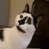 julie rutter - @julieruttey - TikTok