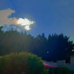 Julie Sable Weyer - @juliesw18 - Instagram