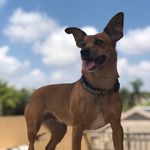 julie_samuelson - @julie_samuelson1 - Instagram