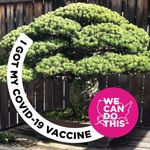 Julie Samuelson - @samuelson85 - Instagram