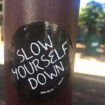 Julie Schlueter PhD - @jmschlueter - Instagram