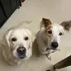 Julia Schofield - @juliaschofield4 - TikTok