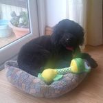 Julie Schofield - @julie.schofield.104 - Instagram