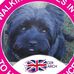 Julie Schofield - Facebook