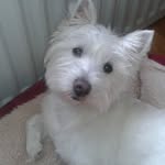 Julie Schofield - @julieschofield1037 - Instagram