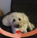 Julie Sharp - Facebook