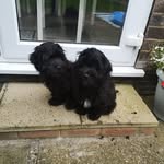 Julie Sharp - @julie.sharp.3517 - Instagram