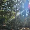 Julie.Sharp - @juliesharpftmccls - TikTok
