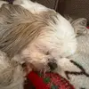 Julie - @juliesheffield000 - TikTok