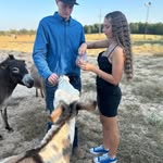 Julie Sheffield - @julieannsheffield74 - Instagram
