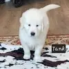 juliesheffield6 - @juliesheffield6 - TikTok