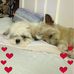 Julie Shivers - Facebook
