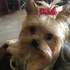 julieshivers - @julieshivers - TikTok