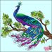 Julie Showalter - Facebook