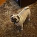 Julie Siler - Facebook