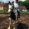 Julie Sim - @juliesim2 - TikTok