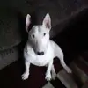 Julie Sim - @julie.sim35 - TikTok
