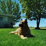 Julie Sinclair - @julie.sinclair.52459 - Instagram