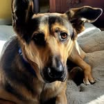 Julie Sipes - @juliesipes - Instagram