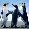 juliesipe6 - @juliesipe6 - TikTok