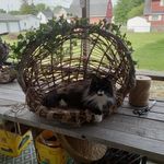 Julie Slagle - @julieslagle1960 - Instagram