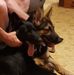 Julie Smiley - Facebook