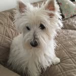 Julie Smiley - @juliesmiley57 - Instagram