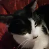 Julie Sobye - @julie.sobye5 - TikTok