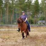 Julie Solberg - @tveit_austigard_ - Instagram