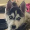 Julie Soo - @julie.soo7 - TikTok