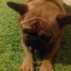 Julia Stankiewicz   - @buldoczekq - TikTok
