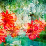 Julie St. Clair - @juliestclair.art.works - Instagram