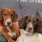 Julie St Clair - @ianandjules12 - Instagram