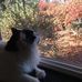 Julie Stepp - Facebook