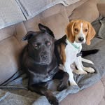 Julie Bitner Stiver - @juliestiver - Instagram