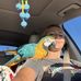 Julie Stover - Facebook