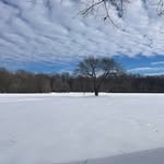 Julie Strasser - @jstrasser68 - Instagram