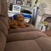 Julia Strunk - Facebook