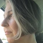 julie suhr - @julies_walks - Instagram
