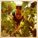 Julie Suhr Villefrance - @juliesuhrvillefrance - Instagram