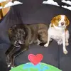Julie Talbott - @julie.talbott4 - TikTok