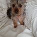 Julie Tedder - Facebook