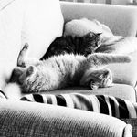 Tedderson - @julieandthetedderson - Instagram