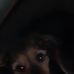 Julia Thiede - Facebook